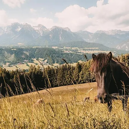 Posers Bergwelt B&B 3* Schladming