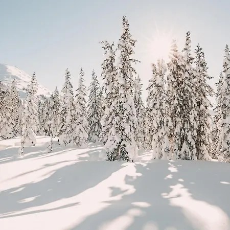 Posers Bergwelt Hotel Schladming