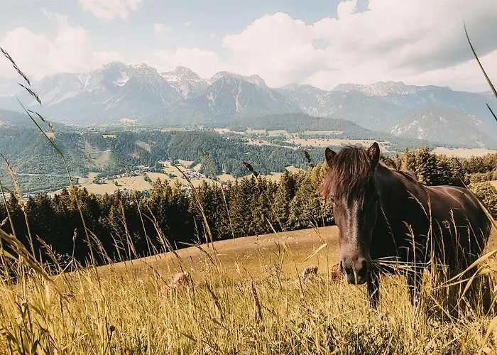 Posers Bergwelt 3* Schladming
