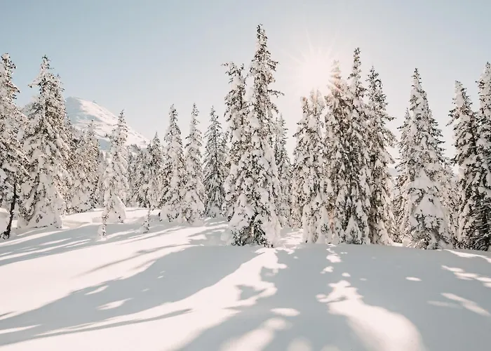 Posers Bergwelt ホテル シュラートミンク